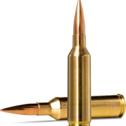 Norma USA Golden Target 6.5 PRC 143-Grain Match Ammunition - 20 Rounds