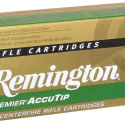 Remington .300 AAC Blackout 125-Grain Centerfire Rifle Ammunition