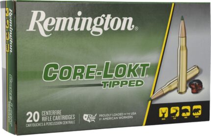 Remington Core-Lokt .243 Winchester 95-Grain Ammunition - 20 Rounds