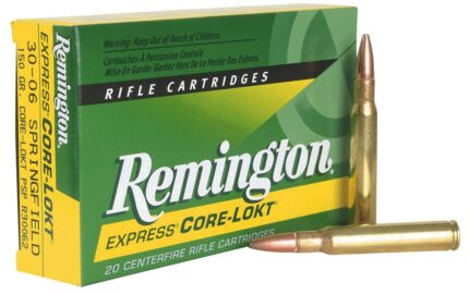 Remington Core-Lokt .308 Win 180-Grain Centerfire Rifle Ammunition - 20 Rounds