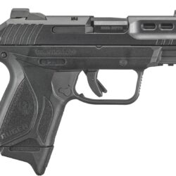 Ruger Security-380 .380 Auto Pistol