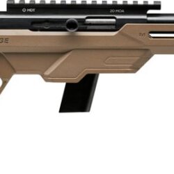 Savage 64 Precision FDE .22 LR Semiautomatic Rimfire Rifle