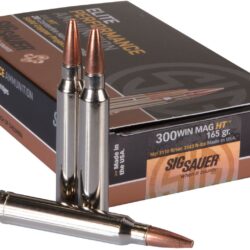 SIG SAUER Elite Hunting HT .300 Winchester 165-Grain Centerfire Rifle Ammunition