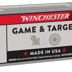 Winchester Super-X Lead Round-Nose .22 Long Rifle 40-Grain Rifle/Handgun Ammunition - 100 Rounds